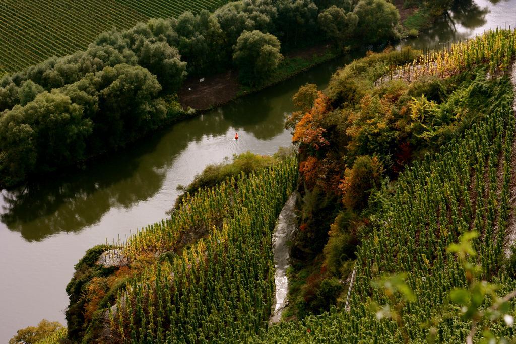 Bio-Weingut Staffelter Hof Pensionat Kröv Eksteriør billede